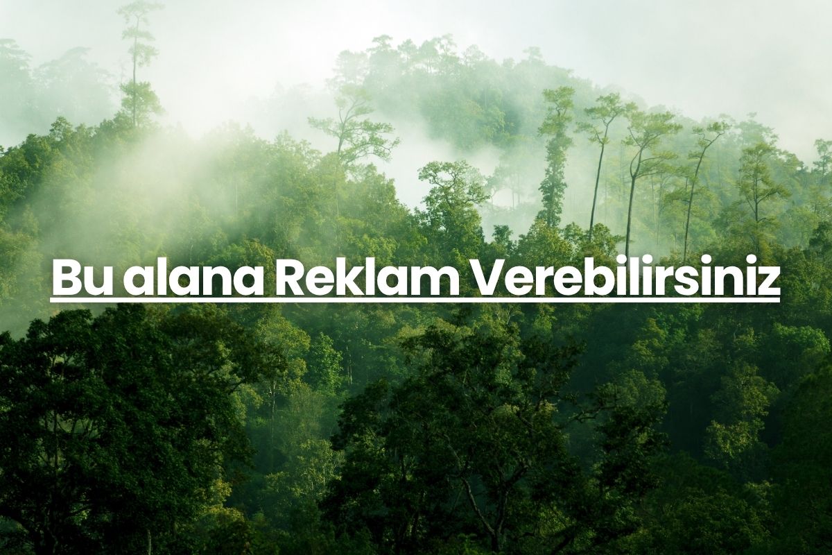 Öneçıkan-Petrolpiyasasi.com (8)